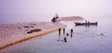 1998年のバラス島