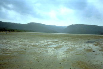 船浦湾の広大な干潟